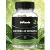 boswellia gr