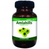 amlahills