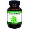 brahmihills