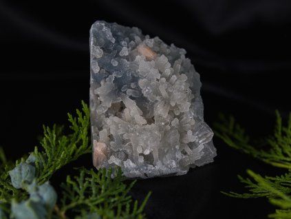 apo01a