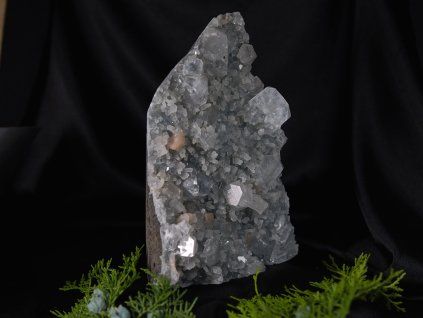 apo05