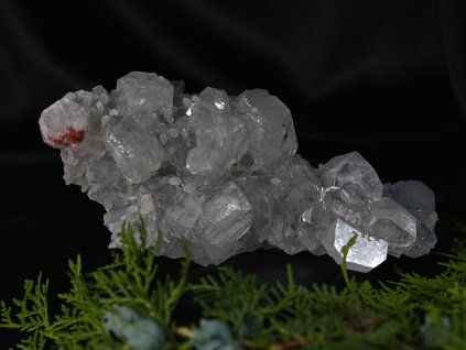 apo01 1