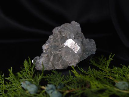apo03 1