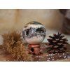 cm1 2