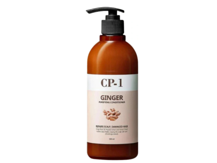 GingerConditioner