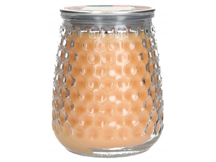 GLG915565 WS Gooseberry&Fig