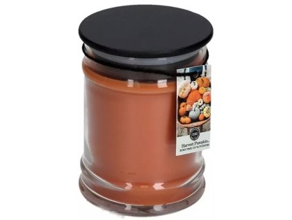 harvest pumpking svíčka