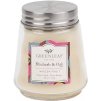 GREENLEAF vonná svíčka Rhubarb & Oak 123 g
