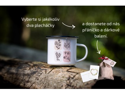 Plecháček Botanika