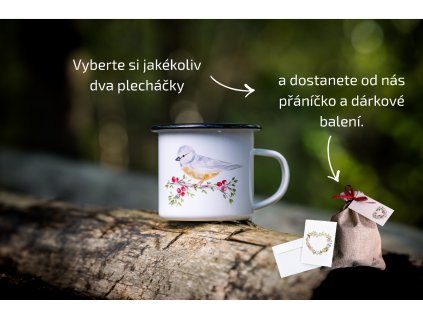 Plecháček Modřinka