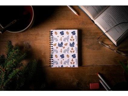 Krása z Lesa 2025 (77) zmenšené