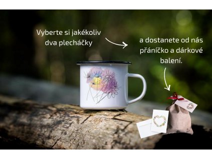 Plecháček Svítání