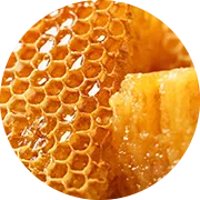 Klíčová složka - výtažek z medu