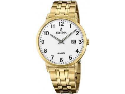 Pánske hodinky FESTINA 20513 1