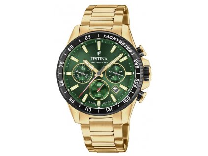 Hodinky Festina 20634 4