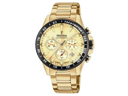 Hodinky Festina 20634 6