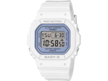 BGD 565SC 2BER