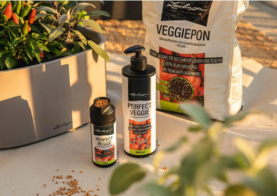 Jaké hnojivo použít na orchideje, palmy, zeleninu či citrusy?