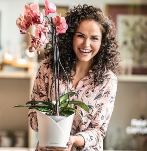 Jak vybrat květináč na orchideje a proč použít samozavlažovací systém