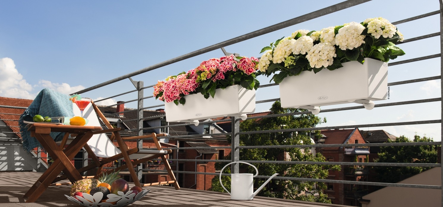 Lechuza Balconera Color, samozavlažovací truhlík