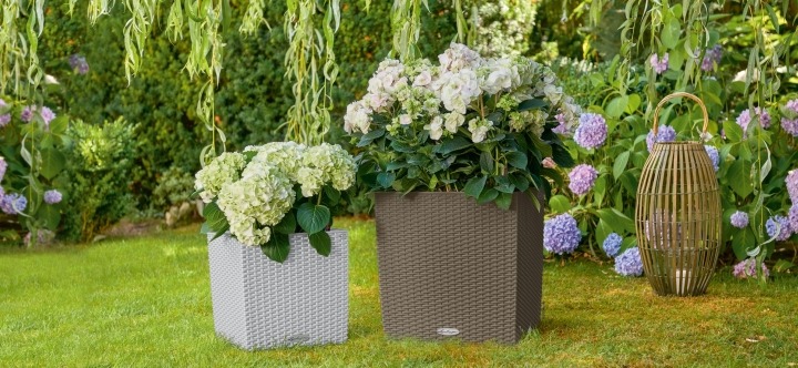 Lechuza Cube Cottage