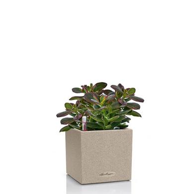 le_canto-stone-14_product_listingimage