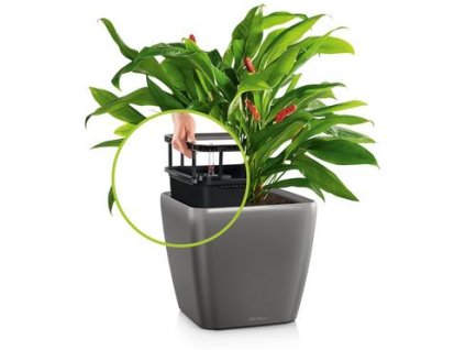 Na květináčích LECHUZA "ujíždím"