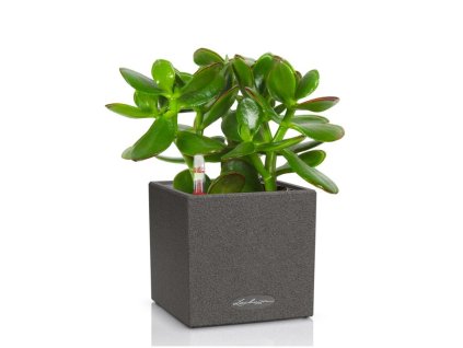 Canto Stone kostka 14 černá