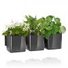 Green Wall Home Kit Glossy charcoal high gloss