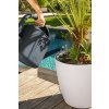 Lechuza Classico Color LS