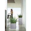 Canto Color kostka