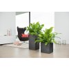 Lechuza Canto sloup
