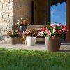CLASSICO%20Color%2028%20sandbra