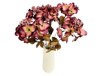 t66e033fb29dec 20240910 134645 removebg preview