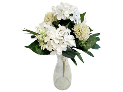 468aee35e7b58c 20250827 120324 removebg preview