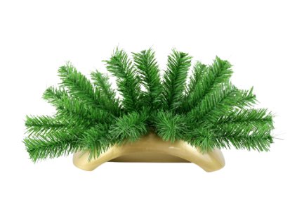 c6489d1674a21d img 0967 removebg preview