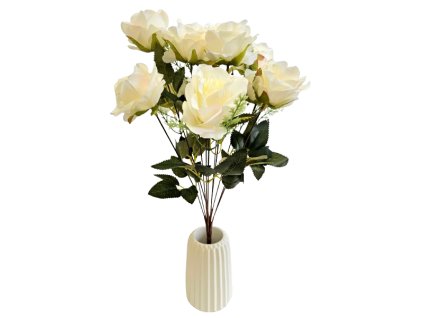 w6669a2ee2b8f8 20240612 150916 removebg preview