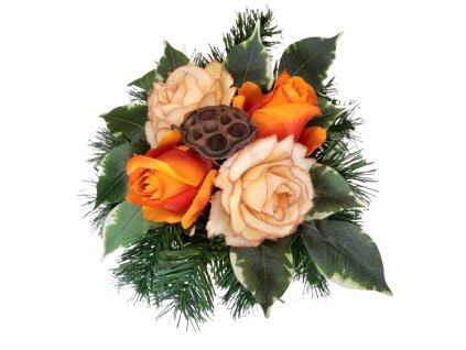 z658c0cda923e6 20231227 105335 removebg preview