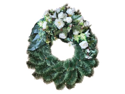 d65169f55e0b0e 20230929 113813 removebg preview