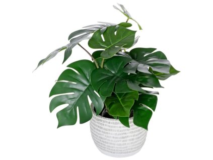 y6857a2fd3656c screenshot 20250622 082324 firefox