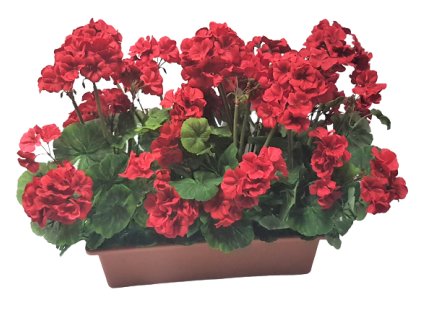 b60af5bb6977a6 20210525 104812 removebg preview