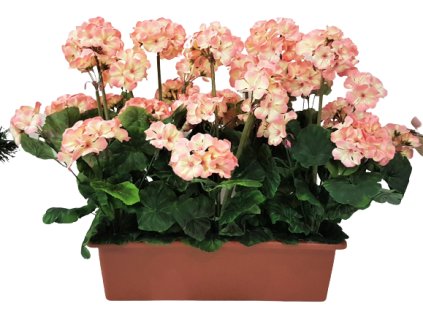 t60a90ef1d97e6 20210522 110755 removebg preview