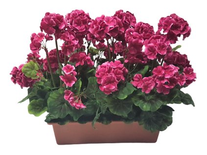 d60af5bb7ad9a0 20210525 104843 removebg preview