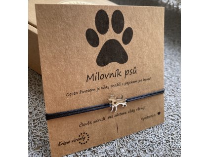 Náramek simple - Pejsek (chir. ocel)