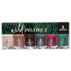 wild instinct 6pc box