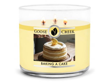 11823 goose creek moderny statok pecenie torty