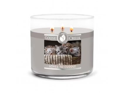 Loves to cudle ZGC GC151071