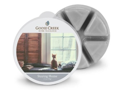 8564 goose creek pohodlie domova
