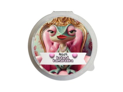 Kouzelná Víla   KRÁSNÁ KAMARÁDKA