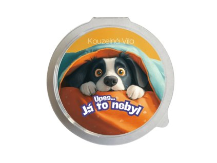 Kouzelná Víla   UPS